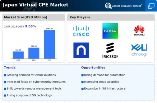 Japan Virtual cpe Market Infographic