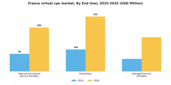 France Virtual cpe Market Segment Image 1