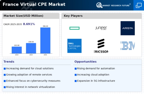 France Virtual cpe Market Infographic