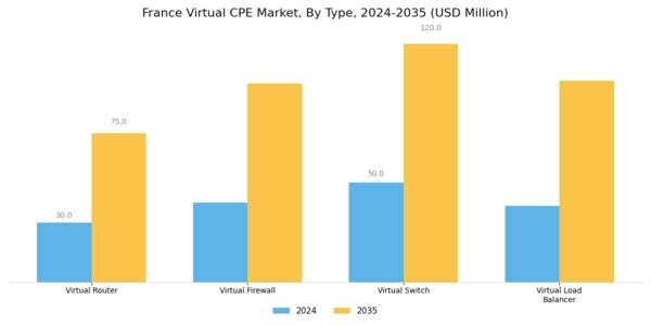 France Virtual cpe Market Segment Image 0