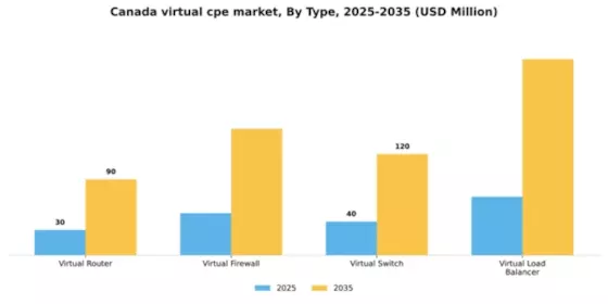 Canada Virtual cpe Market Segment Image 3