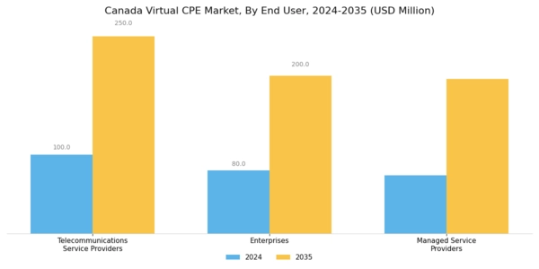 Canada Virtual cpe Market Segment Image 2