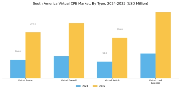 South America Virtual cpe Market Segment Image 0