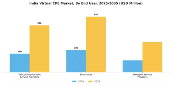 India Virtual cpe Market Segment Image 1