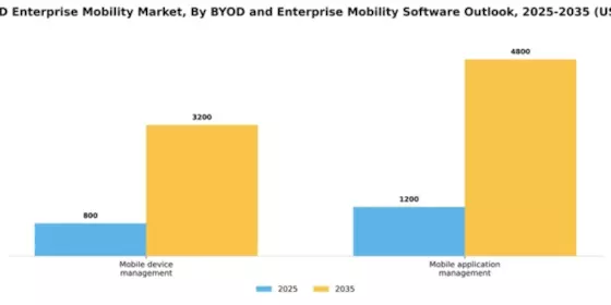 Japan Byod Enterprise Mobility Market Segment Image 4