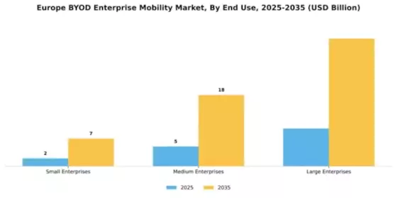 Europe Byod Enterprise Mobility Market Segment Image 3