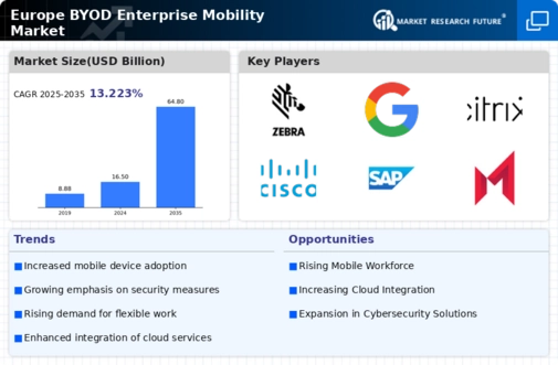 Europe Byod Enterprise Mobility Market Infographic