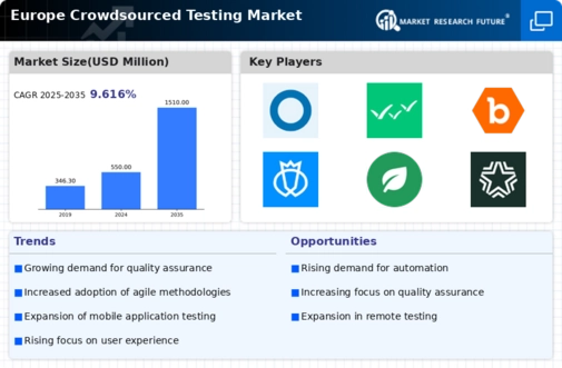 Europe Crowdsourced Testing Market Infographic