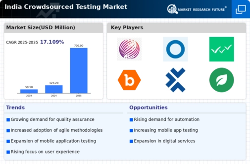 India Crowdsourced Testing Market Infographic