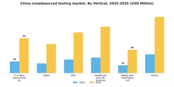 China Crowdsourced Testing Market Segment Image 3