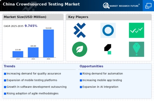 China Crowdsourced Testing Market Infographic