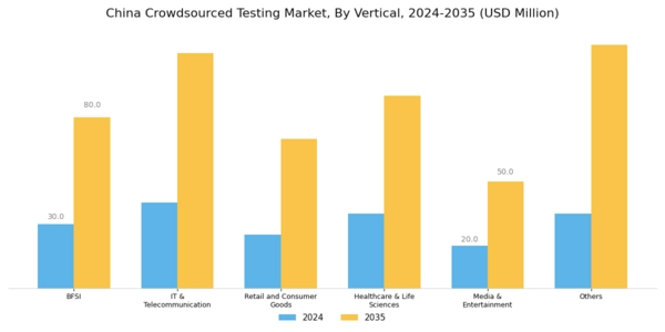 China Crowdsourced Testing Market Segment Image 3
