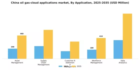China Oil Gas Cloud Applications Market Segment Image 0