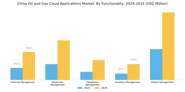 China Oil Gas Cloud Applications Market Segment Image 2