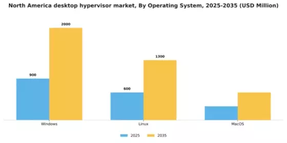 North America Desktop Hypervisor Market Segment Image 3
