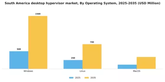 South America Desktop Hypervisor Market Segment Image 3