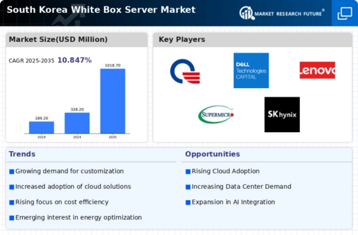 South Korea White Box Server Market Infographic