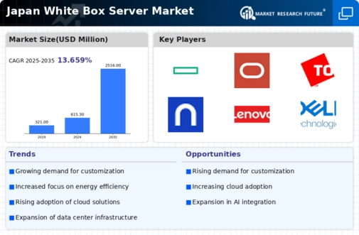 Japan White Box Server Market Infographic
