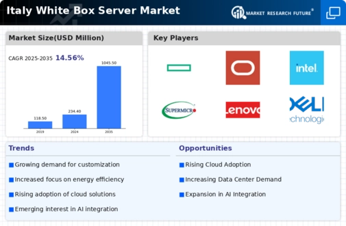 Italy White Box Server Market Infographic