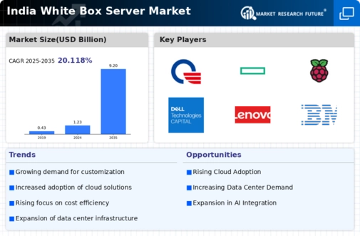 India White Box Server Market Infographic