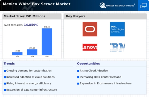 Mexico White Box Server Market Infographic