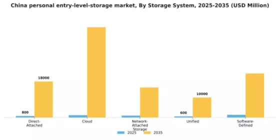 China Personal Entry Level Storage Market Segment Image 1