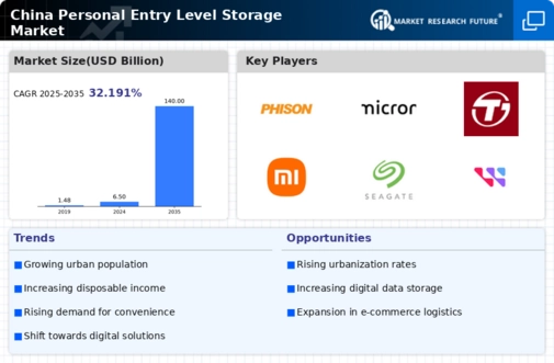 China Personal Entry Level Storage Market Infographic