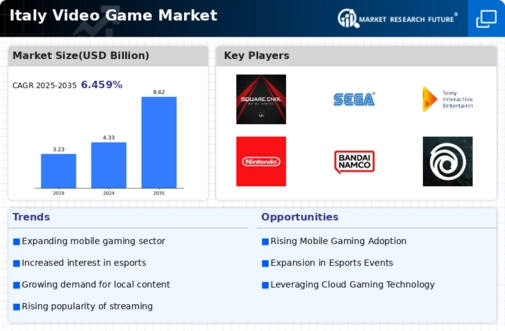 Italy Video Game Market Infographic