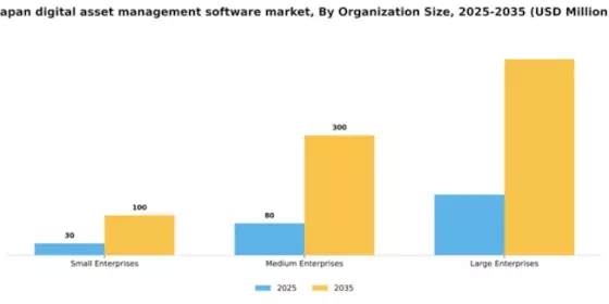 Japan Digital Asset Management Software Market Segment Image 3