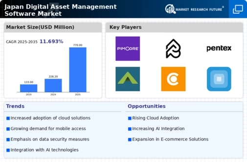 Japan Digital Asset Management Software Market Infographic
