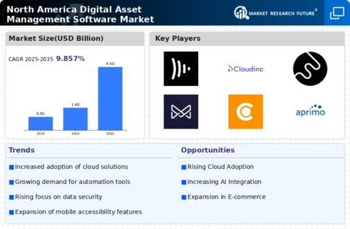 North America Digital Asset Management Software Market Infographic