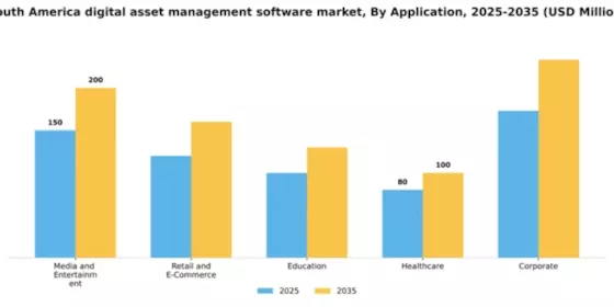 South America Digital Asset Management Software Market Segment Image 0