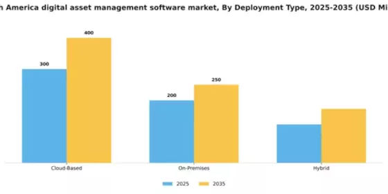 South America Digital Asset Management Software Market Segment Image 1