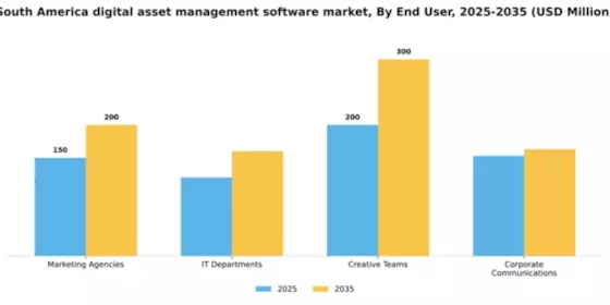 South America Digital Asset Management Software Market Segment Image 2