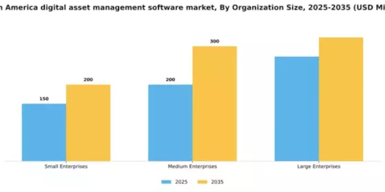 South America Digital Asset Management Software Market Segment Image 3