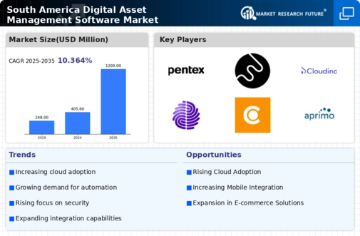 South America Digital Asset Management Software Market Infographic