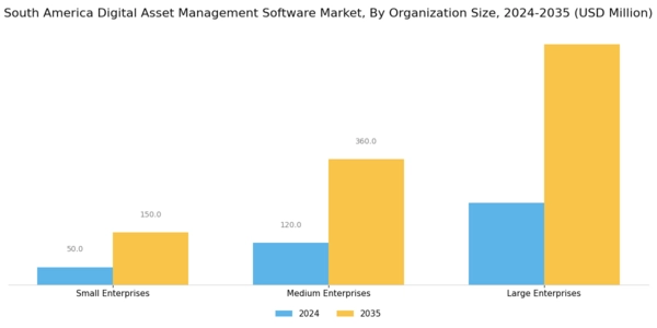 South America Digital Asset Management Software Market Segment Image 2