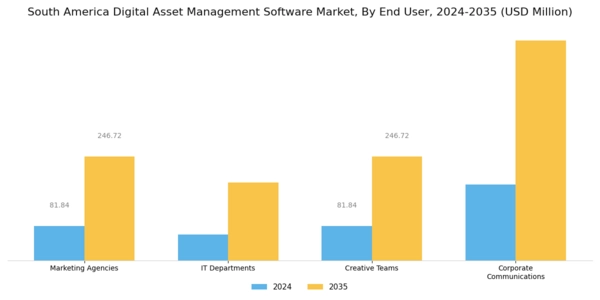 South America Digital Asset Management Software Market Segment Image 3