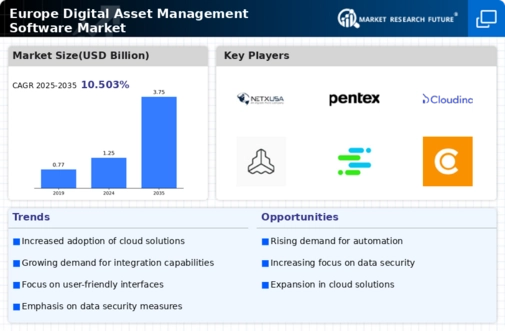 Europe Digital Asset Management Software Market Infographic