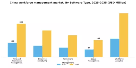 China Workforce Management Market Segment Image 3