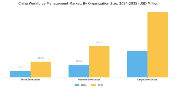 China Workforce Management Market Segment Image 2