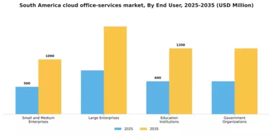 South America Cloud Office Services Market Segment Image 1