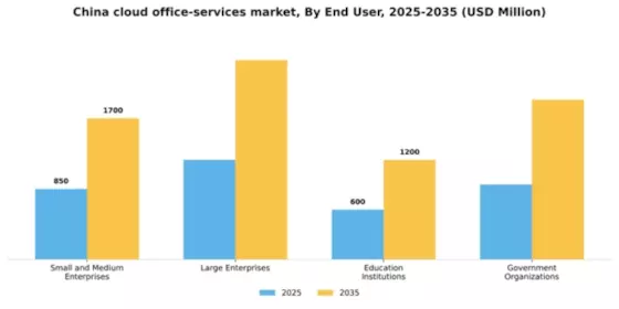 China Cloud Office Services Market Segment Image 1