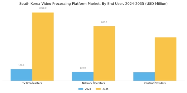 South Korea Video Processing Platform Market Segment Image 3