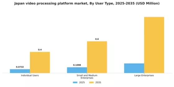 Japan Video Processing Platform Market Segment Image 4