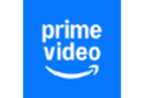 Japan Video Processing Platform Market key player