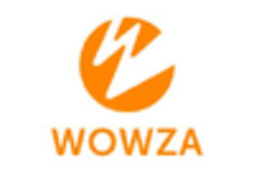 Japan Video Processing Platform Market key player