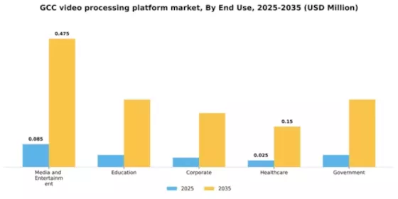 GCC Video Processing Platform Market Segment Image 2