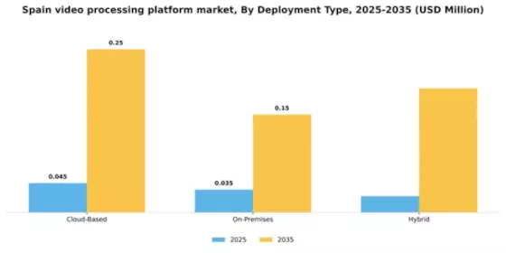 Spain Video Processing Platform Market Segment Image 1