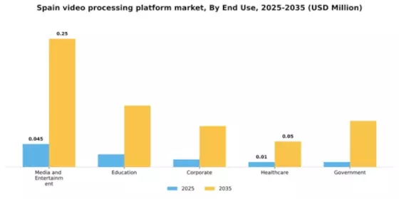 Spain Video Processing Platform Market Segment Image 2